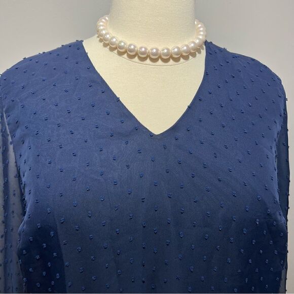 Draper James Navy Swiss Dot Sheer Elasticized‎ Sleeve Dress -- 2X - Picture 6 of 14